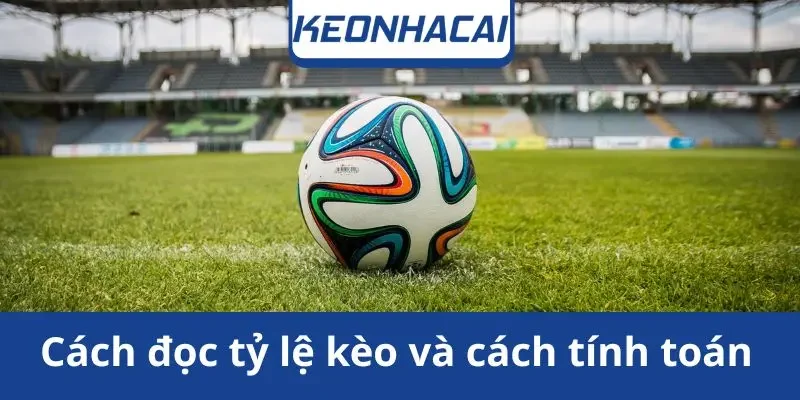 cach-doc-ty-le-keo
